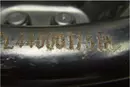 Szczęki Hamulcowe Prawe 440001751R Sandero Dacia 
