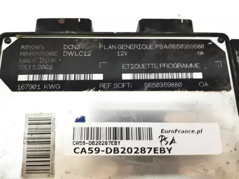 R04080030E 9650359580 Sterownik Peugeot 
