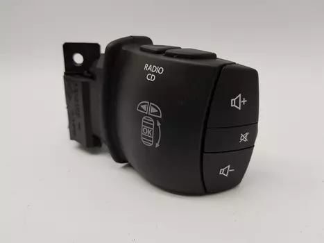 255520013R Pilot radia Renault 