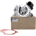 210103314R 8200088663 Pompa wody Renault _1.2