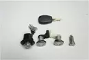 6001550787 6001550788 Drzwi Dacia 