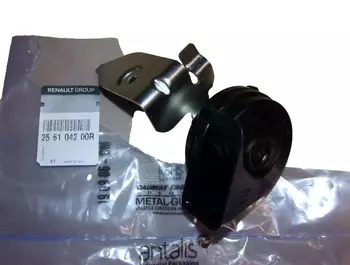 256104200R Klakson Renault 