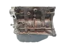 D4F712 Blok silnika Renault 1,2 16v D4F712 1149 ccm