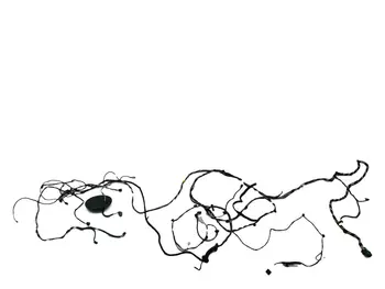 241635716R Instalacja wnętrza Dacia _1,2 TCE H5F