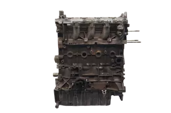 G6DA  Silnik diesel Ford 2,0 TDCi