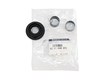 8201048885, 6001543155, Zestaw naprawczy Dacia Nissan Renault 