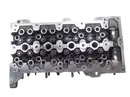 55264994 Głowica silnika Fiat Opel 1,3 Multijet CDTI 225A2000