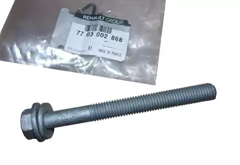 Śruba Oryginał 7703002868 Renault 