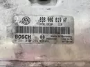 038 906 019 AF Sterownik Skoda 