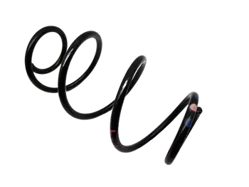 550207521R  Sprężyna zawieszenia Dacia 