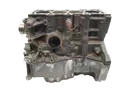 110103691R Blok silnika Renault 1,5 dci