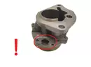 8200072985, 8200689330, Pompa vacum Nissan Opel Renault Volvo 1,9 DCI F9Q