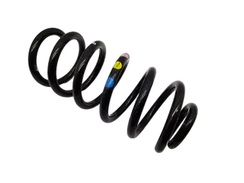 550202996R Sprężyna zawieszenia Renault 