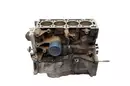 7701475916 Blok silnika Renault _1,4 16v K4J770