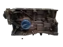 7701472829 Blok silnika Dacia Mercedes-Benz Renault 1.6 16v