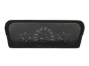 60.4724.005.0 6047240050 Licznik Citroen Fiat Peugeot