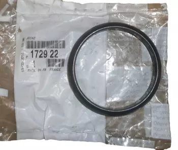 172922 Pierśćień uszczelniający wydechu Citroen Peugeot 