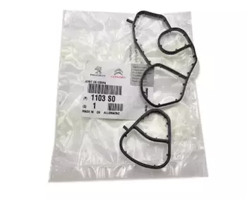 1103.S0  Uszczelka Citroen Peugeot 