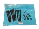 Śruba Komplet Renault Dacia 110567448R Oryginał