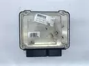 03G906021LN Steuergerät Seat 