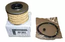 7701043620 Kraftstofffilter Dacia Renault
