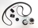 7701479032 Keilriemenspanner Renault