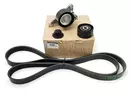 7701478495 1172000Q0C Keilriemenspanner Renault 2,0dCi 2,3dCi