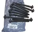 1105600Q0E, 110560195R Schraube Fiat Nissan Opel Renault