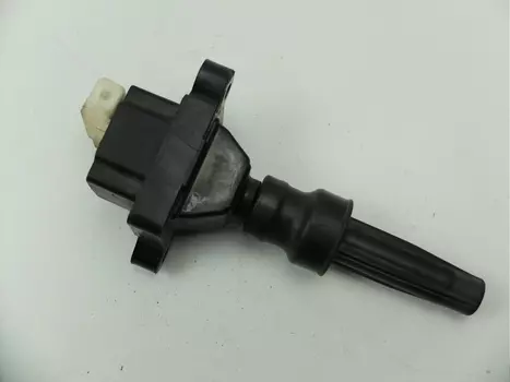 597055 Zündspule Citroen Peugeot _2,0 16V