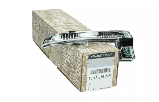 261F67974R Blinker Renault 