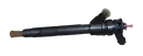 166002556R, 166003355R, Einspritzdüse Renault 2.0 DCI
