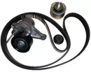 117500969R Keilriemenspanner Renault