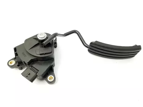 8200139319 Gaspedalwertgeber Renault 