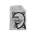 210102248R Wasserpumpe Dacia Renault