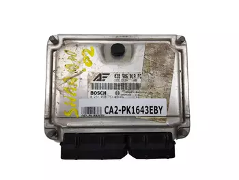 038906019FC Calculateur ecu Volkswagen