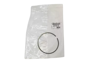 Anneau Original Citroen Peugeot 231873 2318.73