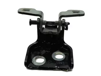 804207876R Charnière de portes Dacia