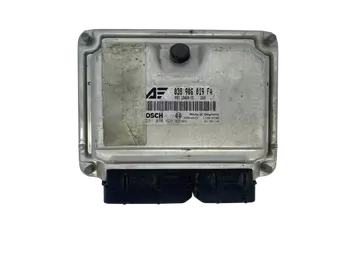 038906019FA Calculateur Ford