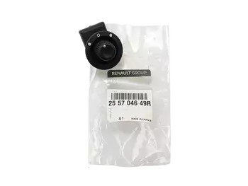 255704649R Commutateur régulateur de rétro Renault