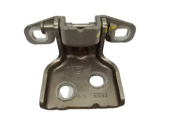 804207876R Charnière de portes Dacia