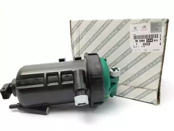 1606450480 190198 Filtre À carburant Citroen Fiat Peugeot 3.0 HDi