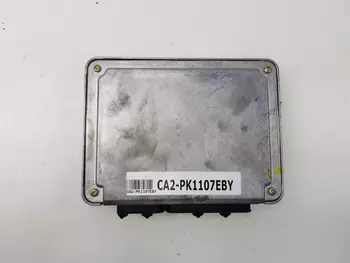 038906018FD Calculateur ecu Audi