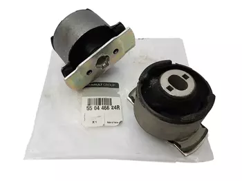 550446624R 550440001R Bagues de montage de bras d'essieu de suspension Renault