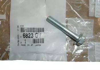 6823.GY Vis Citroen Peugeot