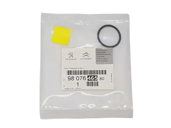 9807646580 Joint Citroen Peugeot