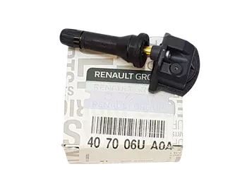 407006UA0A Tèmoin Renault