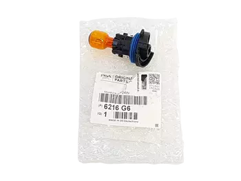 6216G6, 262610001R Ampoule Citroen Peugeot