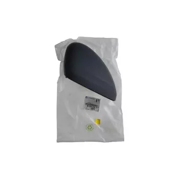 982280161T, 1608533780 Enjoliveur retroviseur Citroen