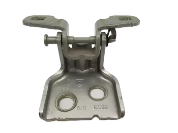 804207876R Charnière de portes Dacia