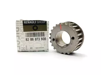 8200073935 Poulie d'arbre a came Renault 1,9 DCI